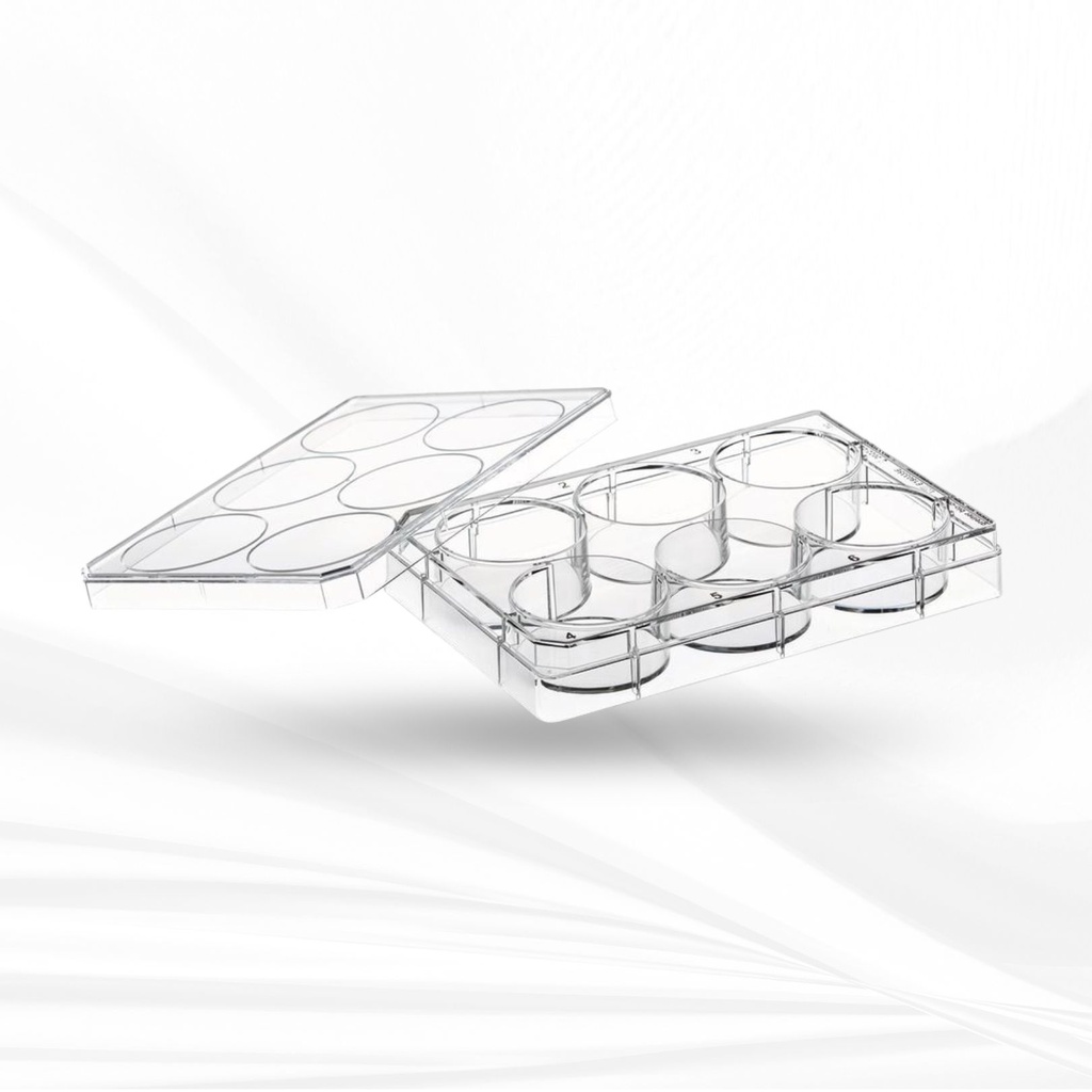 6 Well Clear, Tissue Culture-Treated Multiple Well Plater with Lid, Sterile, Individually Wrapped  50pcs/box