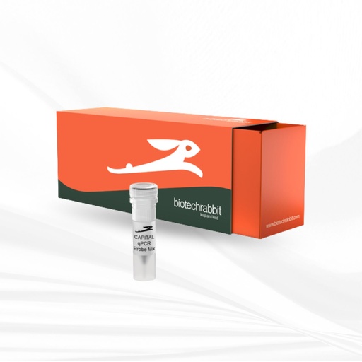 [MT-MC-BR0501500] biotechrabbit 4X CAPITAL™ qPCR Probe Master Mix  LROX