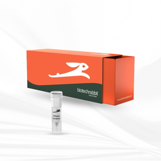 biotechrabbit RNase Inhibitor, 40 U/µl