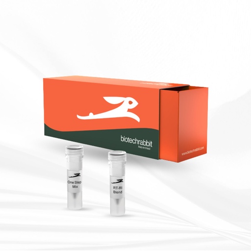 [MT-MC-BR0400100] biotechrabbit 1-Step RT-PCR Master Mix