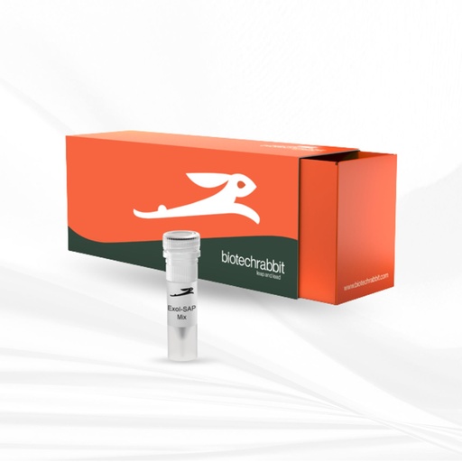 biotechrabbit GenUP™ Exo SAP Kit