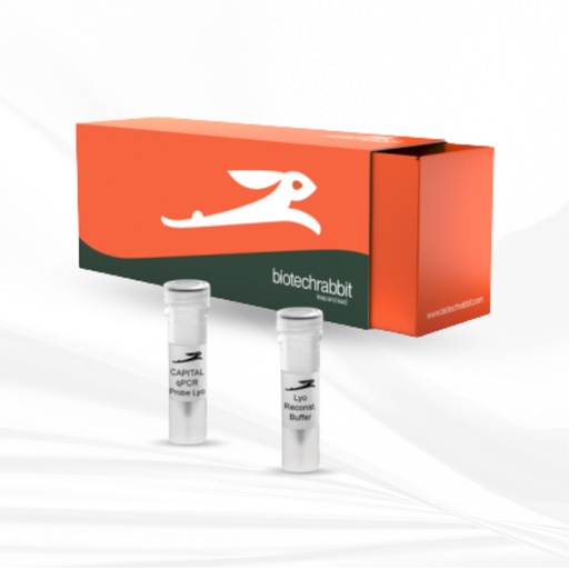 [MT-MC-BR0502601] biotechrabbit 4X CAPITAL™ qPCR Probe Master Mix, lyophilized