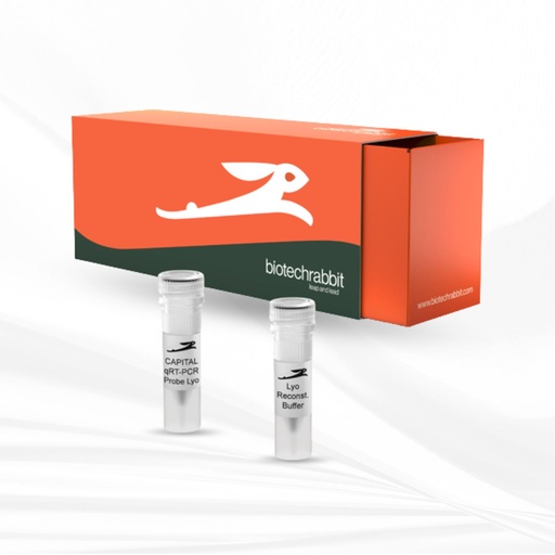 [MT-MC-BC0503202] biotechrabbit 5X CAPITAL™ 1-Step qRT-PCR Probe Master Mix, lyophilized