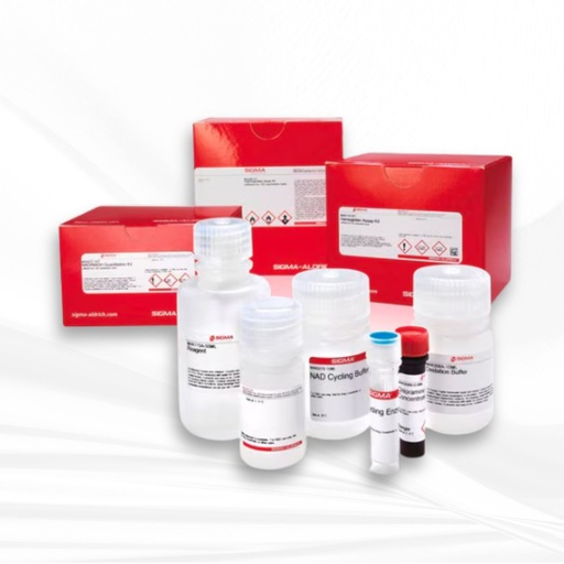 [MT-CM-MAK398] Merck 5′-Nucleotidase (CD73) Activity Assay Kit (Colorimetric)