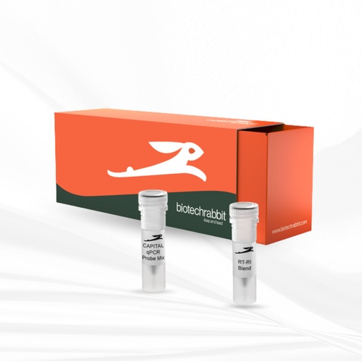 [MT-MC-BR0400601] biotechrabbit AllScript™ Reverse Transcriptase, 4 U/µl