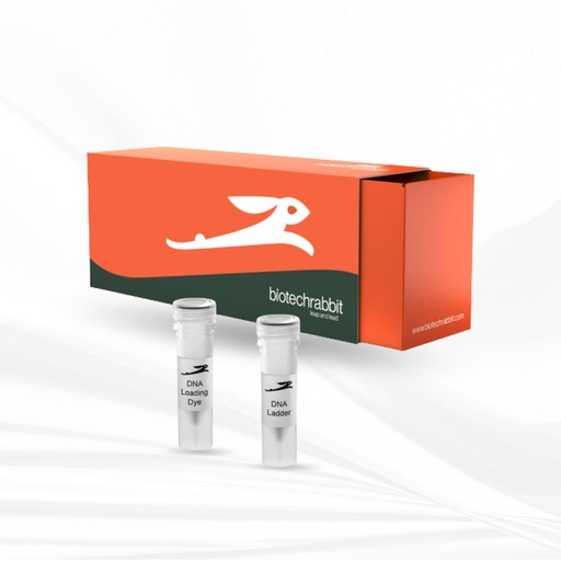 [MT-MC-BR0401001] biotechrabbit AnyScript™ Reverse Transcriptase, 200 U/µl