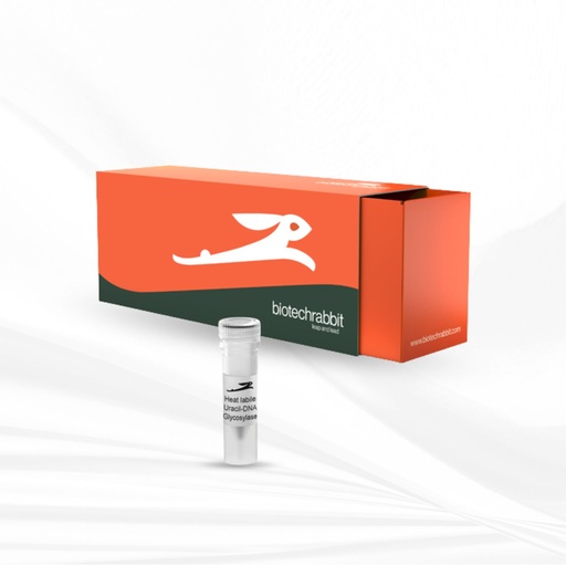 [MT-MC-BR1100701] biotechrabbit Heat Labile Uracil-DNA Glycosylase, 1 U/µl