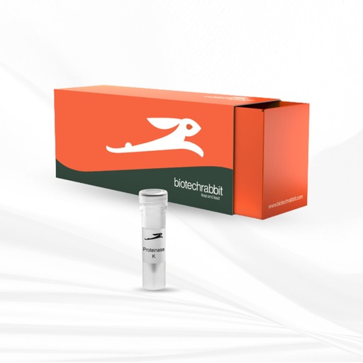 [MT-MC-BR1100901] biotechrabbit Proteinase K, lyophilized