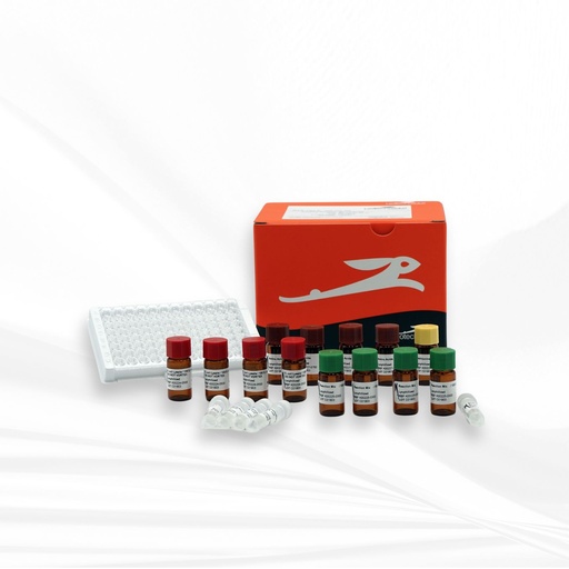 [MT-MC-BR1400106] biotechrabbit RTS 100 E. coli HY Kit