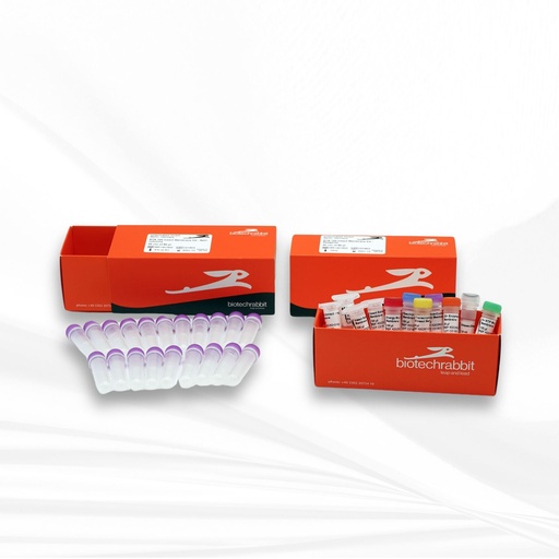 [MT-MC-BR1401501] biotechrabbit RTS 100 Insect Membrane Kit