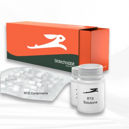 [MT-MC-BR1400501] biotechrabbit RTS 500 E. coli Disulfide Kit