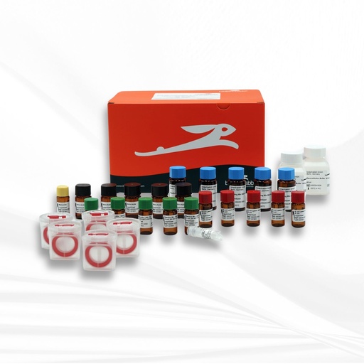[MT-MC-BR1400201] biotechrabbit RTS 500 ProteoMaster E. coli HY Kit