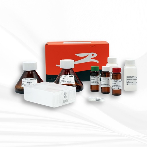 [MT-MC-BR1400301] biotechrabbit RTS 9000 E. coli HY Kit