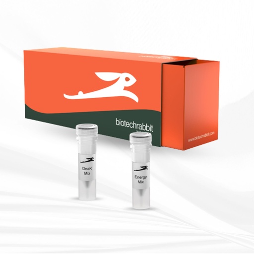 [MT-MC-BR1401601] biotechrabbit RTS DnaK Supplement