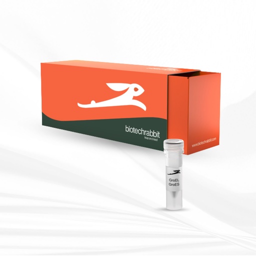[MT-MC-BR1401701] biotechrabbit RTS GroE Supplement