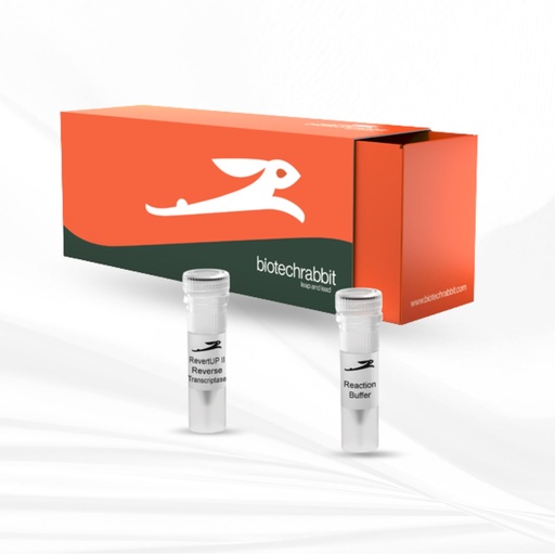 [MT-MC-BR0400501] biotechrabbit RevertUP™ II Reverse Transcriptase, 200 U/µl