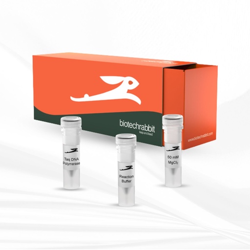 [MT-MC-BR0100100] biotechrabbit Taq DNA Polymerase, 5 U/µl
