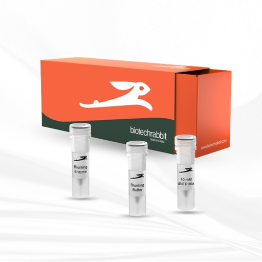 [MT-MC-BR1101101] biotechrabbit DNA Blunting Kit